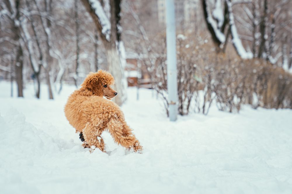 Photograph by Екатерина Андриянова