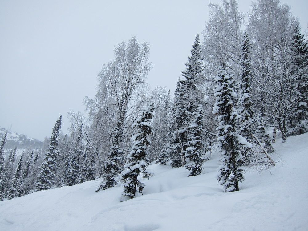 Photo #11757811