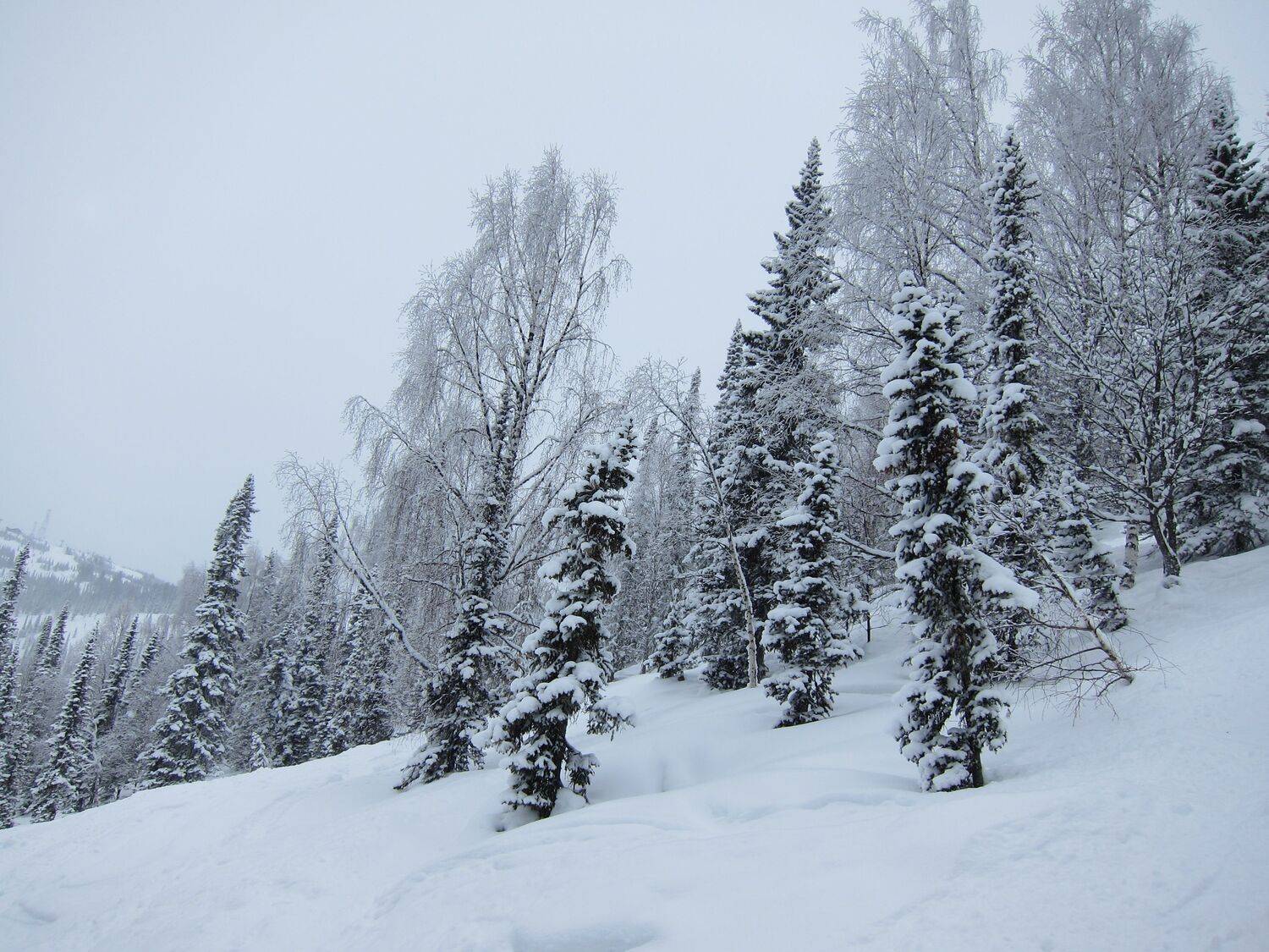 Photo #11757811