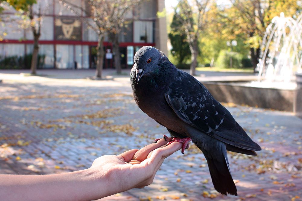 Photograph by Лилия Голд