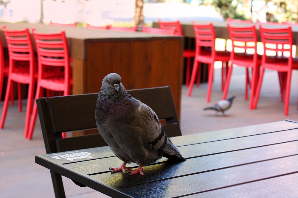 Photograph by Лилия Голд