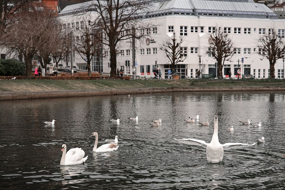 Photograph by Ольга Кудина