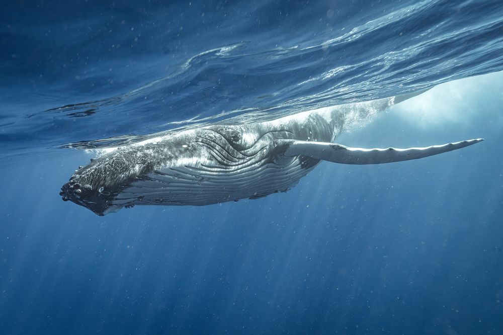 Photograph by Труханов Илья