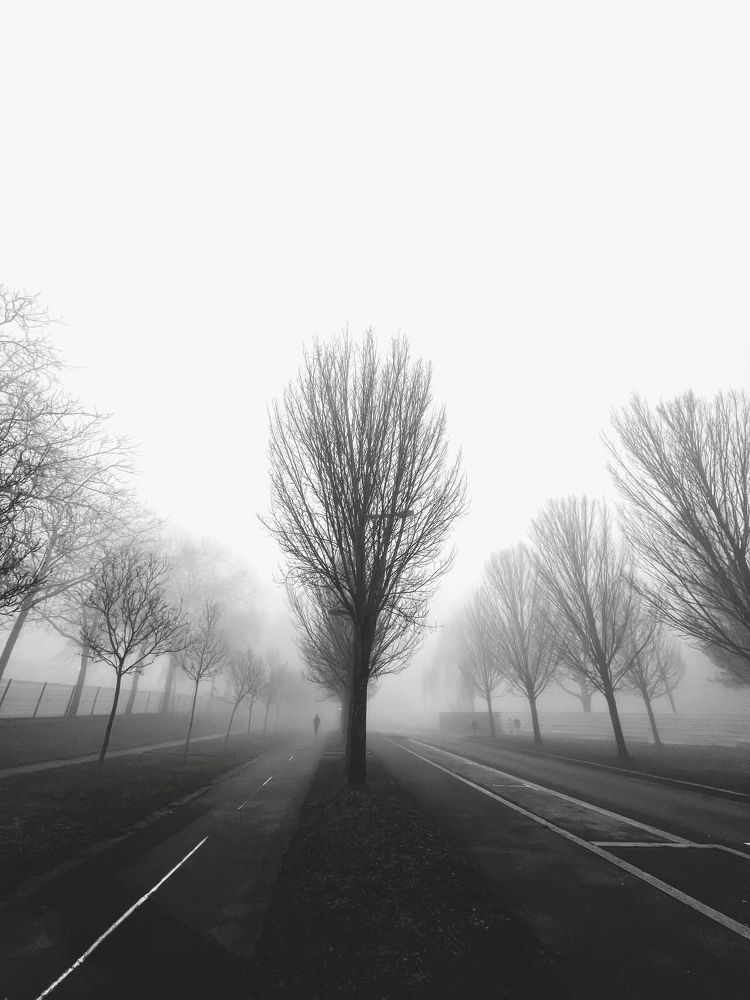 Minimalism at its finest simplicity