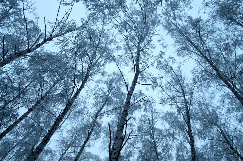 Photograph by София Лаврентьева