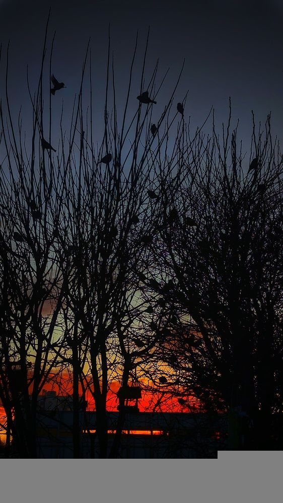 Photograph by Ирина Багдасарова