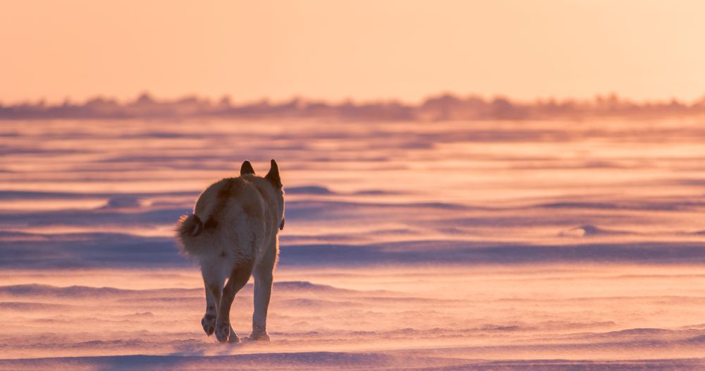 Photograph by Александр Фанталов