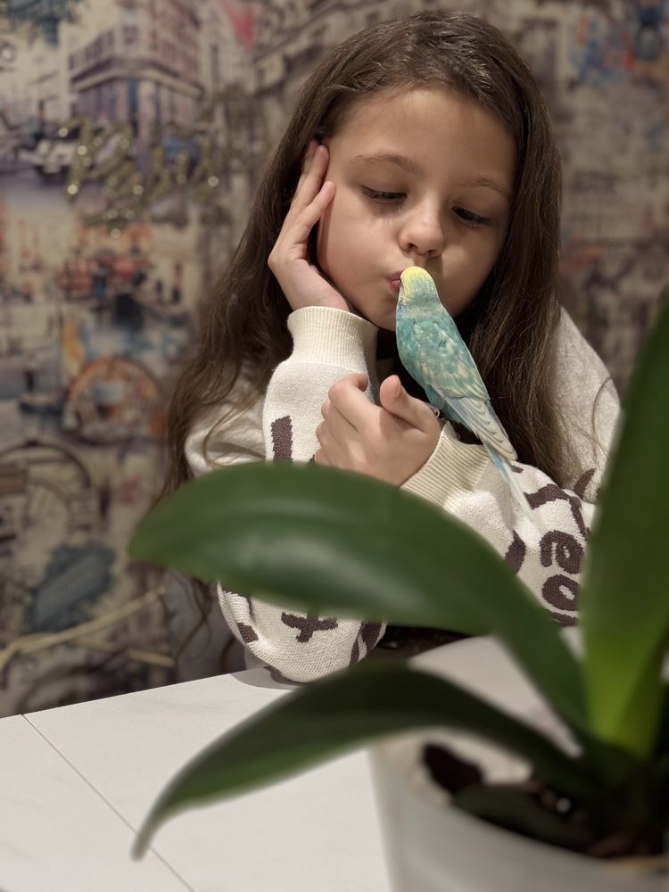 Дружеские целовашки