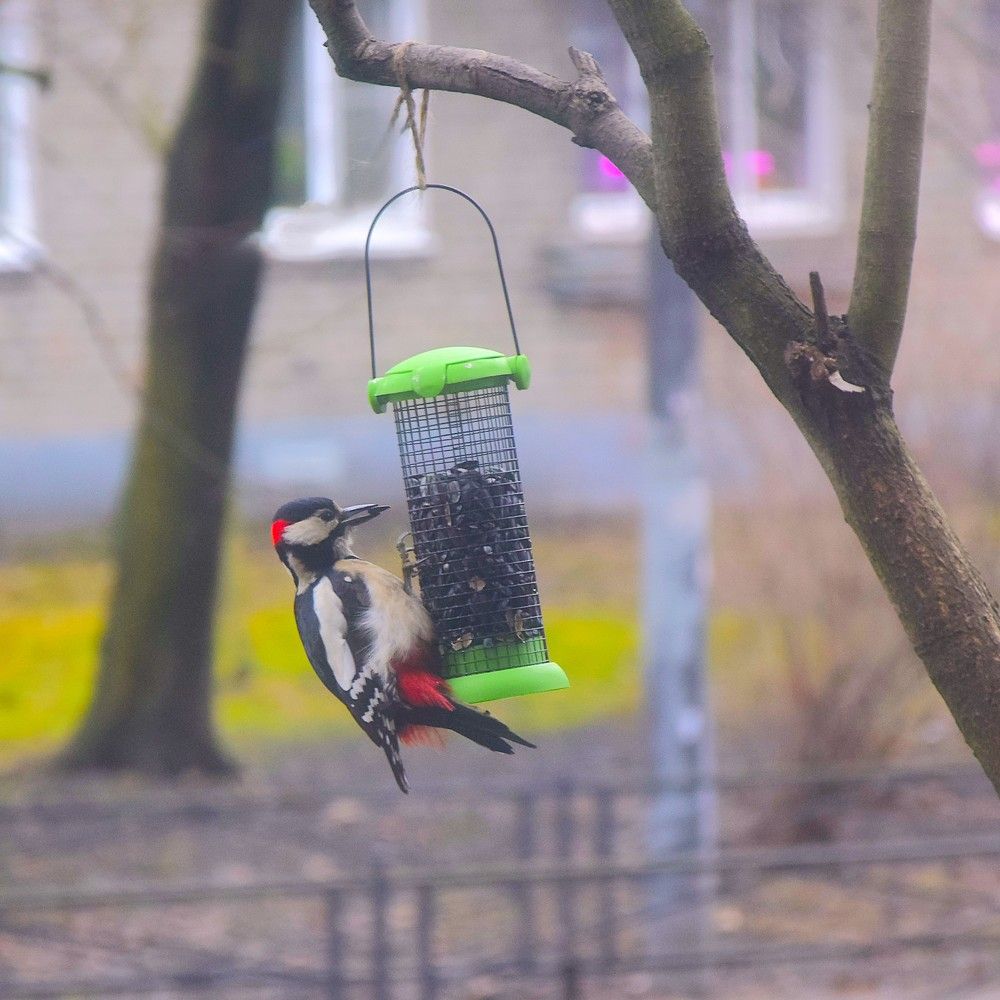 Фотография автора Альбина Хвастунова