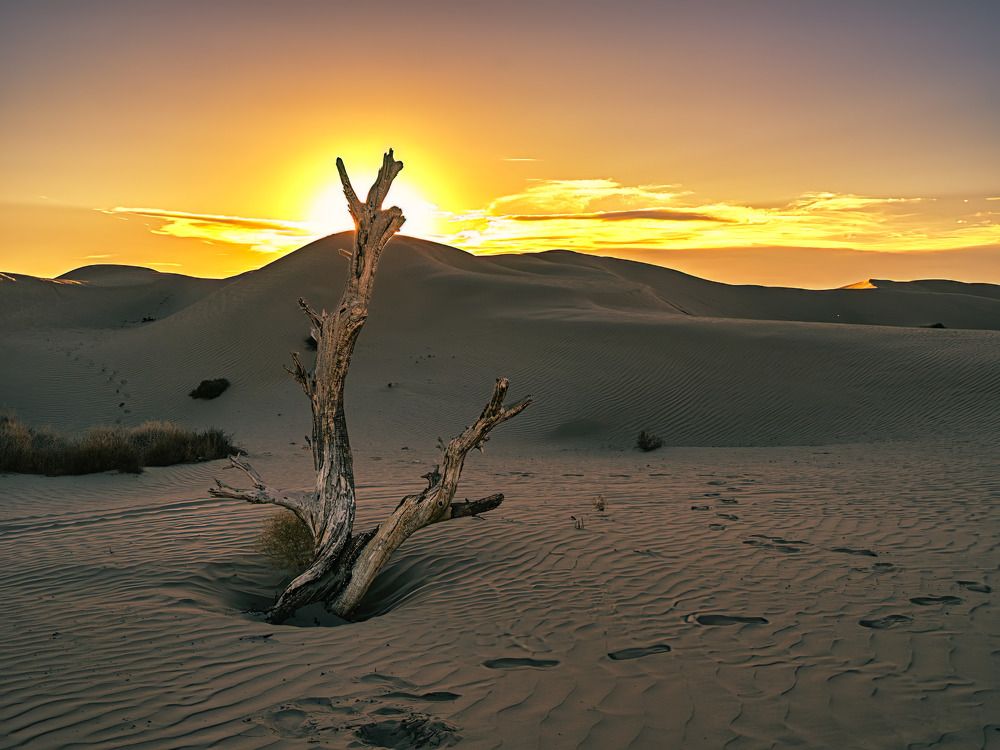 Photograph by Iosif Magomedov