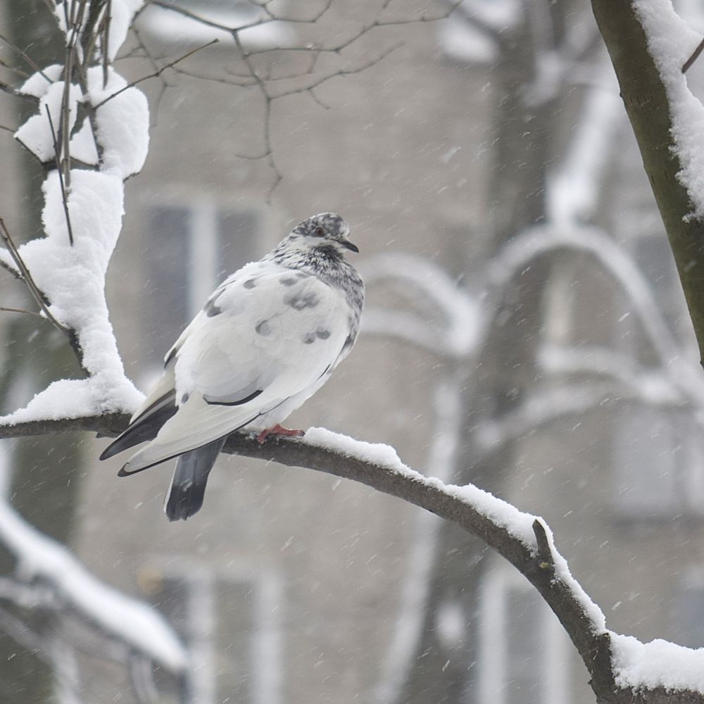 Фотография автора Альбина Хвастунова