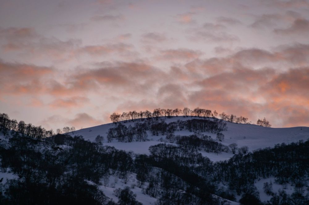 Фотография автора Оксана Белозерская