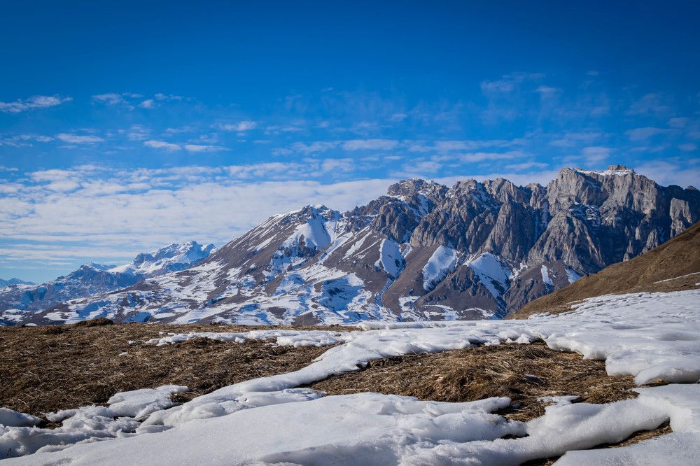 Фотография автора Оксана Белозерская