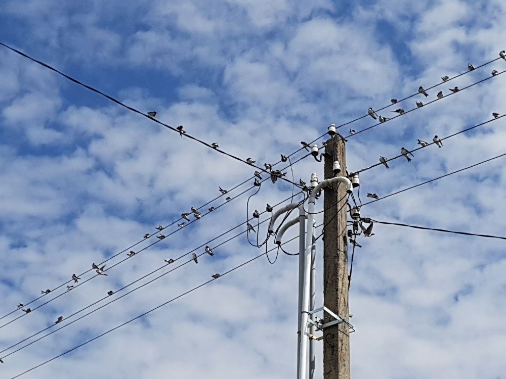 Фотография автора Ирина Дроздова