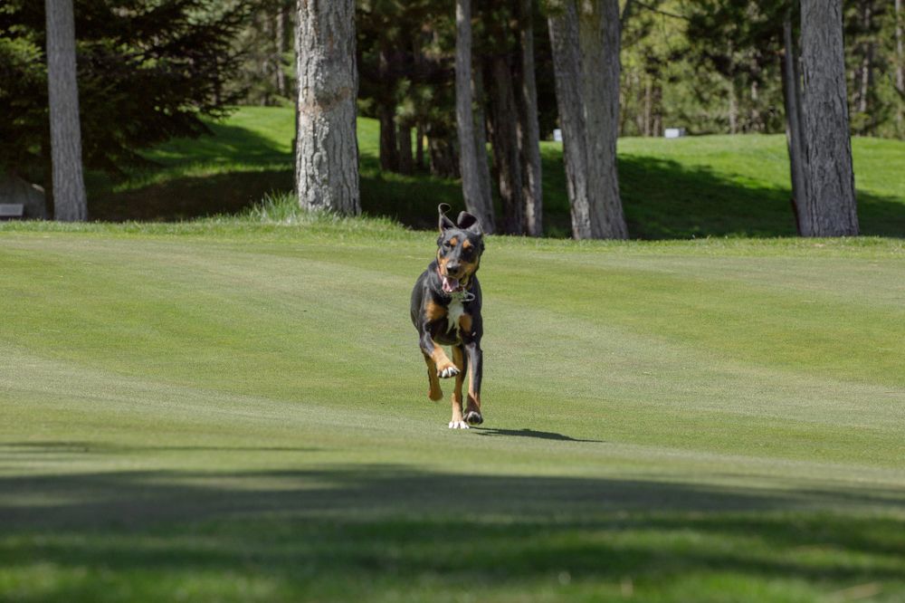 Photograph by Taтьяна Войлокова