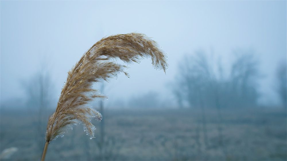 Фотография автора Евгений