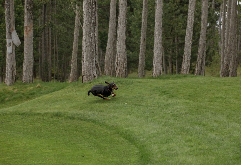 Photograph by Taтьяна Войлокова