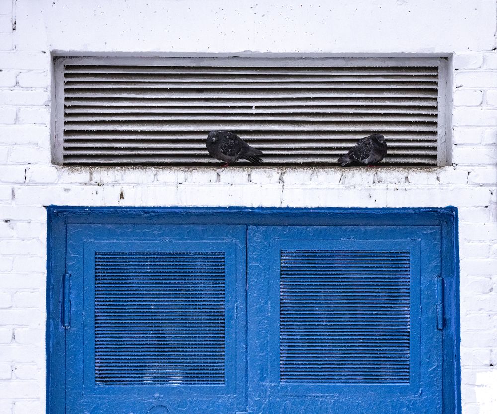 Photograph by Елена Барышева