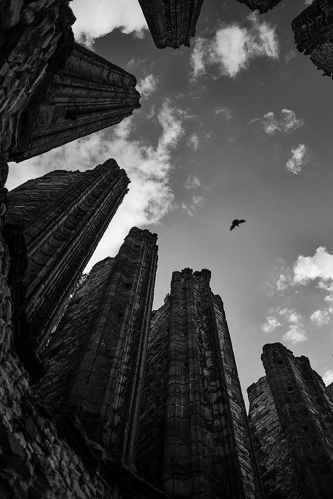 Silence Among the Clouds