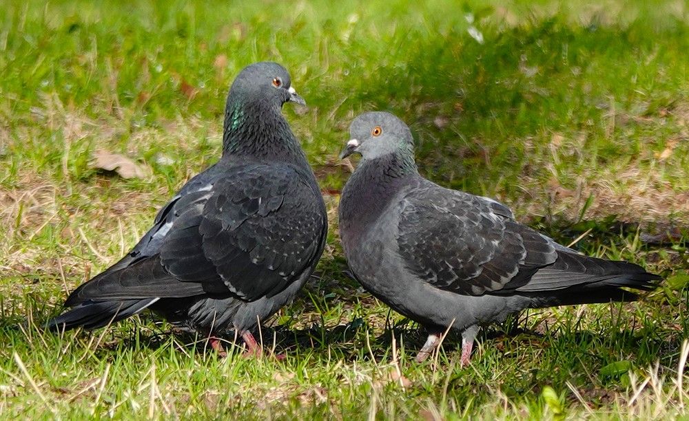 Photograph by Zakharov Matvey