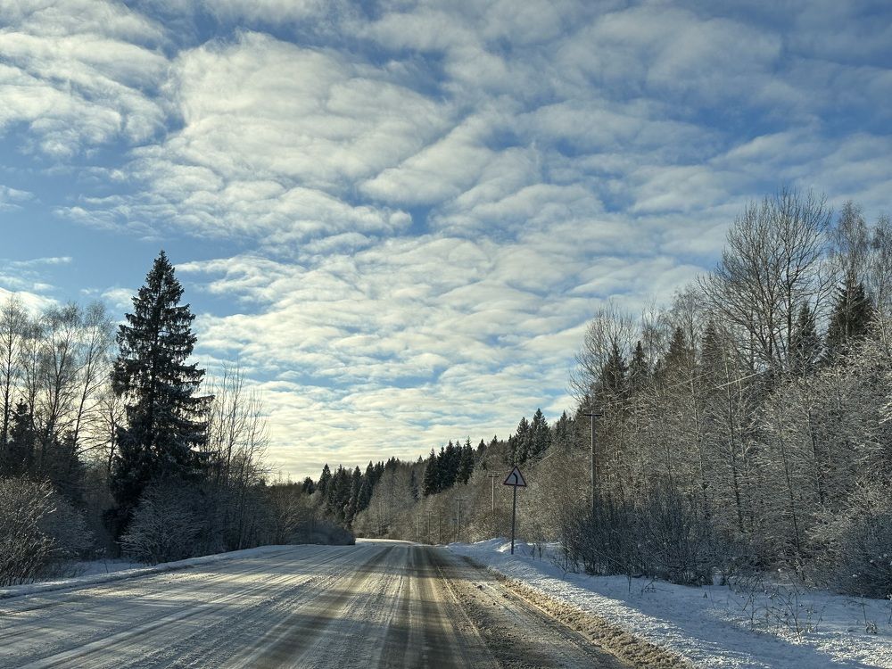 Photograph by Самусева Марина