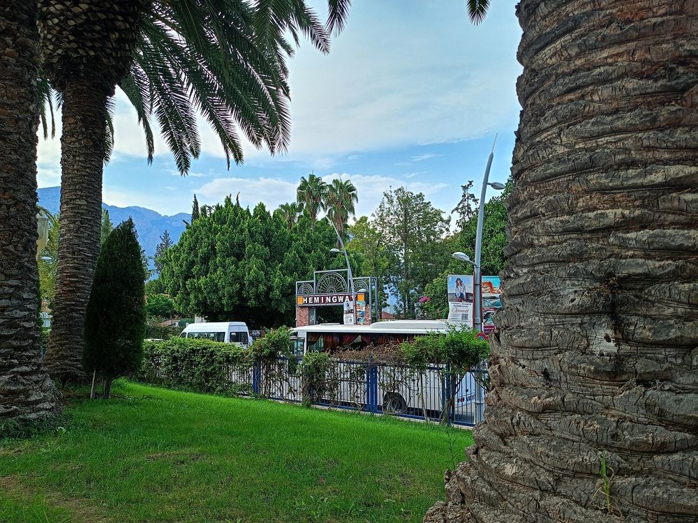 Photograph by Елена Чернякова