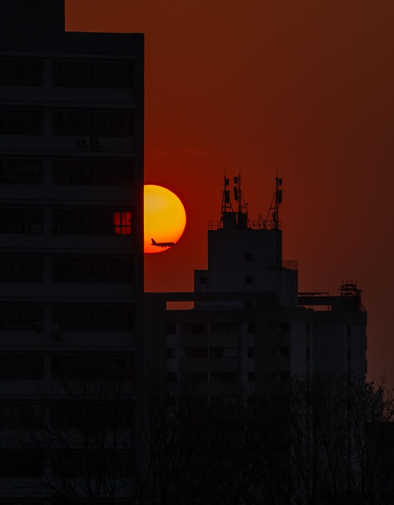 Photograph by Laura Lucio