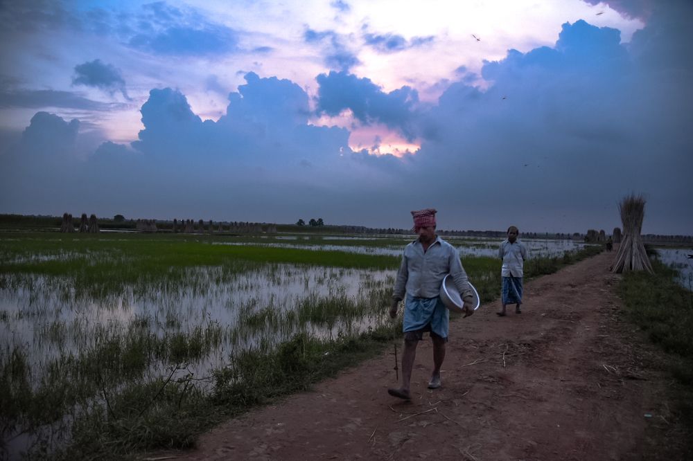 Photograph by Chirantan Batabyal