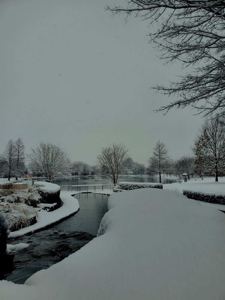 Photograph by Татьяна Пирс