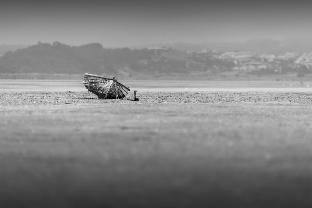 Photograph by Bruno Ribeiro