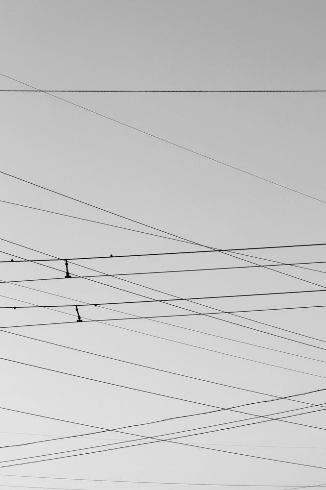 Photograph by Мария Тёмкина