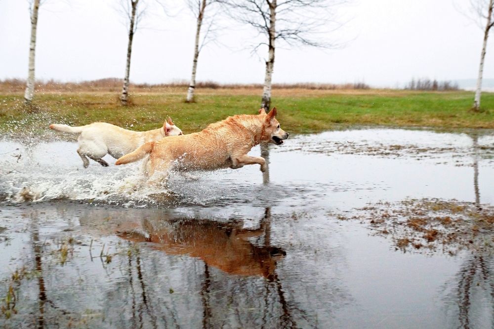 Фотография автора Валерий Жданов