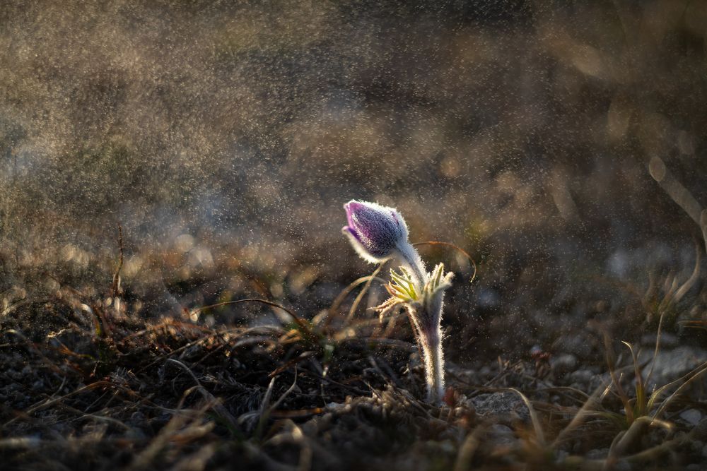 Photograph by Анна Изюмская