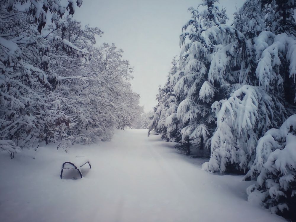 Photograph by Елена Василева