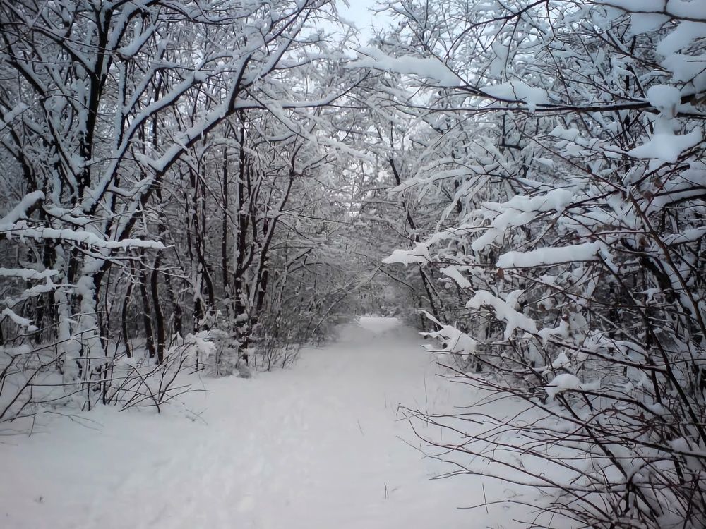 Photograph by Елена Василева