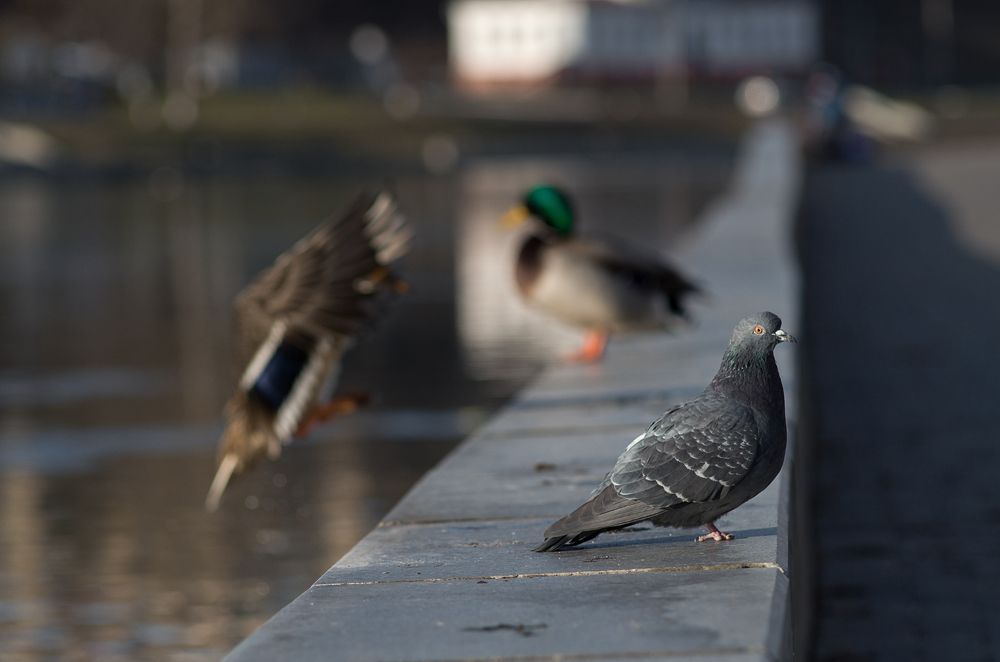 Photograph by Татьяна Псенкова
