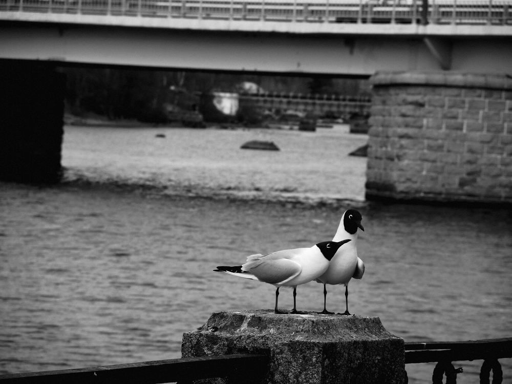 Photograph by Юрий Кузнецов