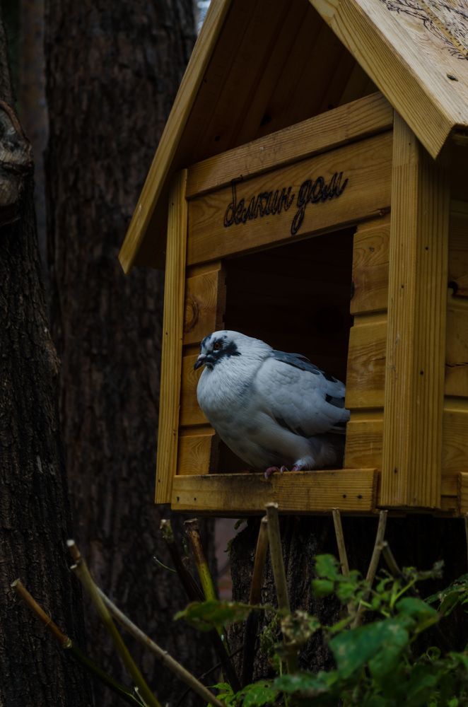 Photograph by Вадим Басов