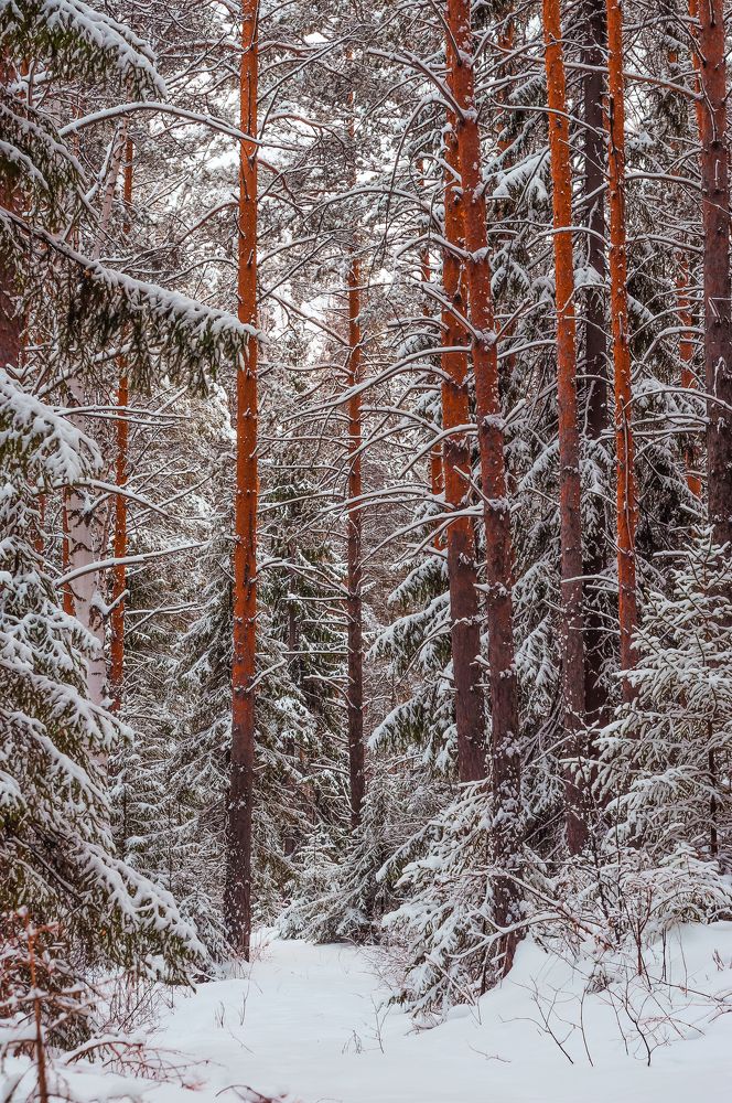 Photograph by Абаимов Александр