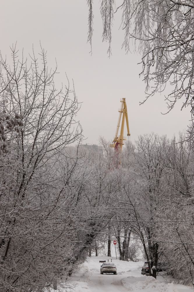 Photograph by Мария Тёмкина