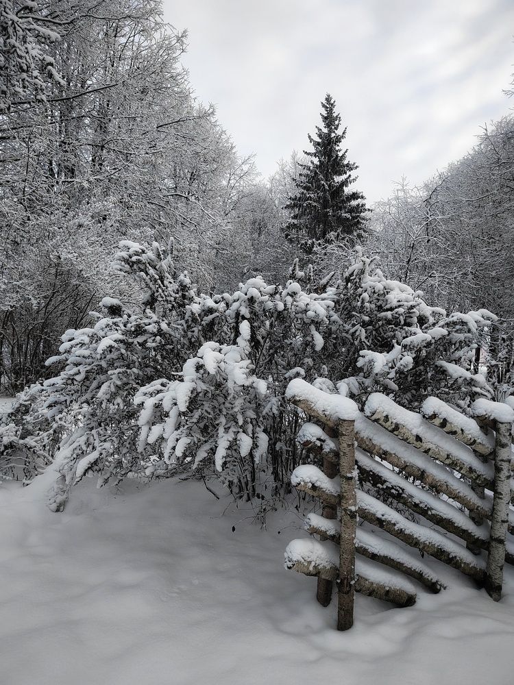 Photograph by Мария Тёмкина