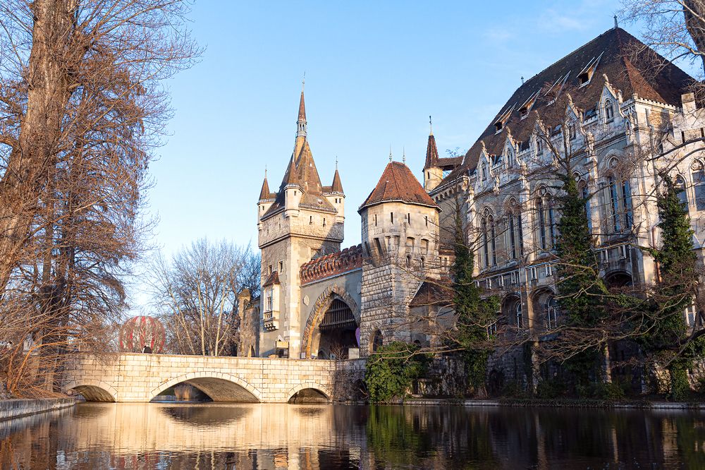 Фотография автора Faller Tamás