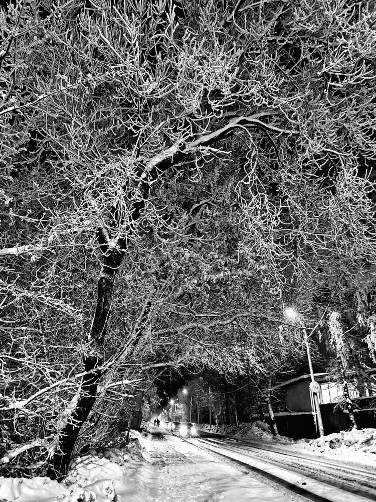 Photograph by Мария Тёмкина