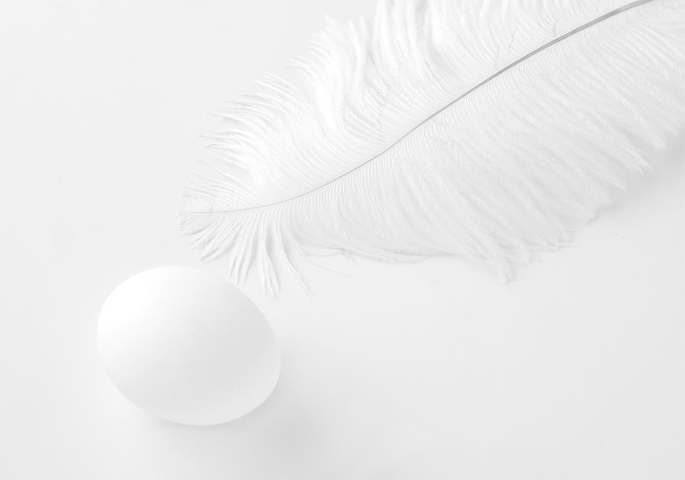 Photograph by وفاء يريمي