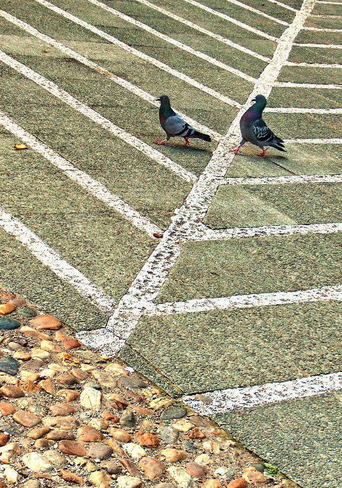 Photograph by Nadaškić Jasminka