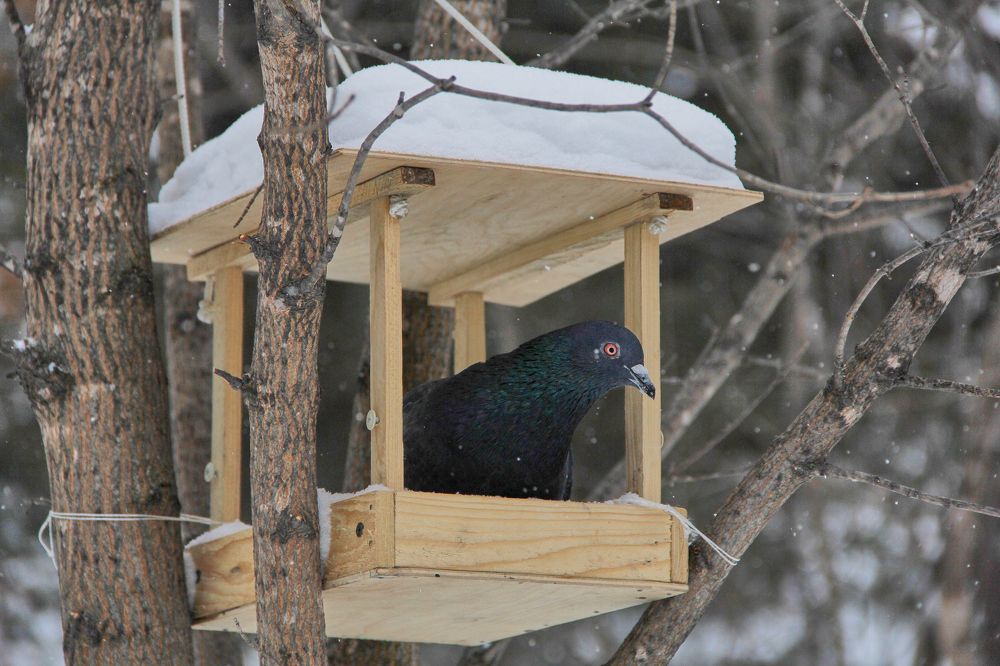 Фотография автора Наталия Мащенко