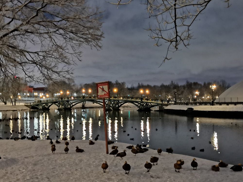 Photograph by Alexey Reznichenko