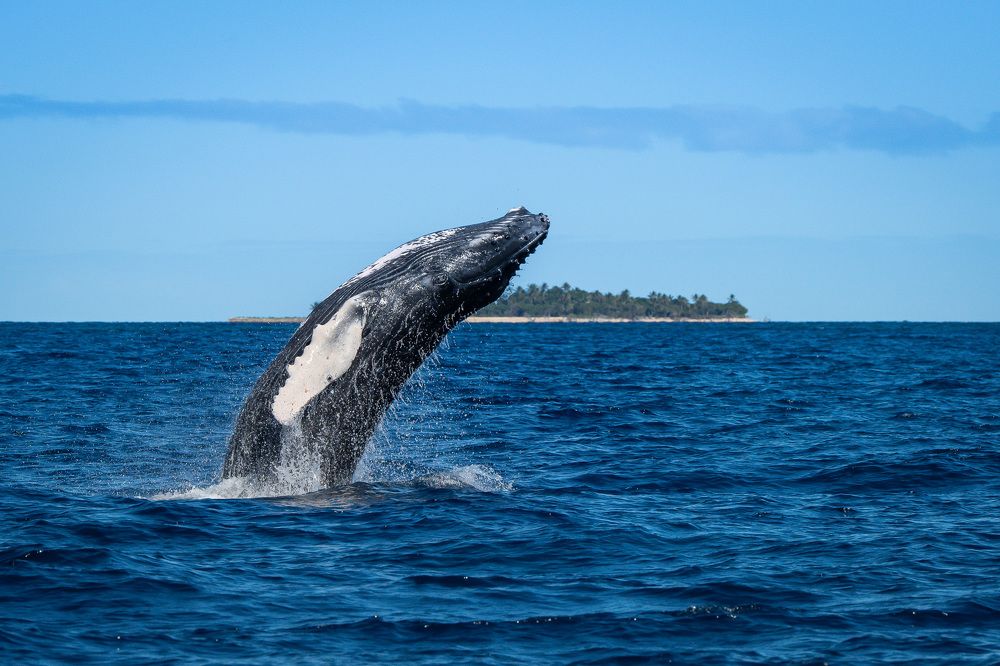 Photograph by Труханов Илья