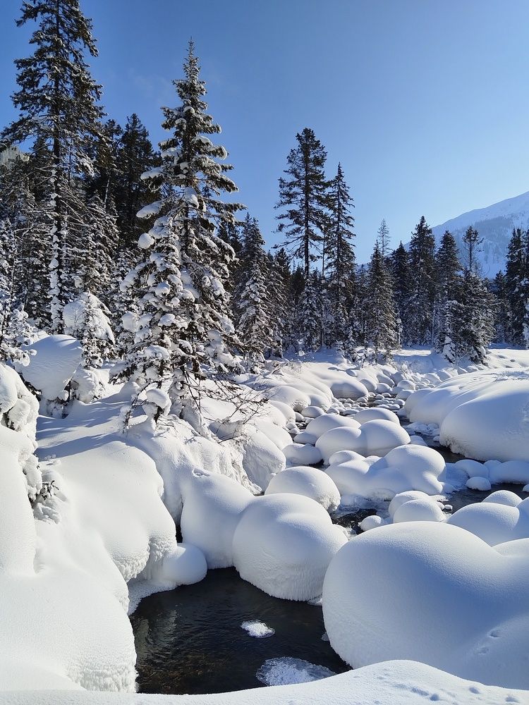Photograph by Кощеева Марина