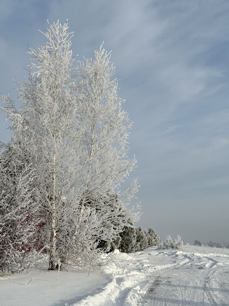 Photograph by Svetlana Tolkunova